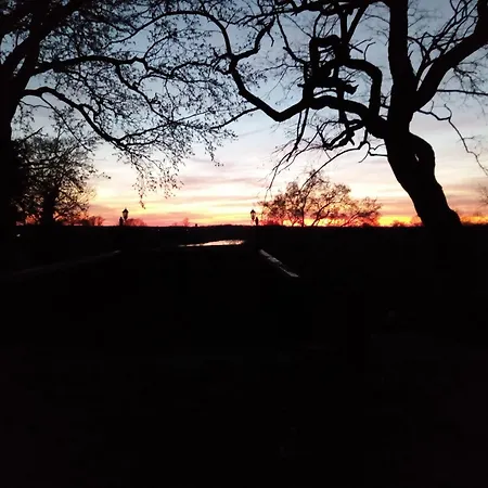 Schuetzenhaus 酒店 巴特德本