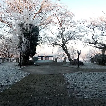 Schuetzenhaus 3* 巴特德本