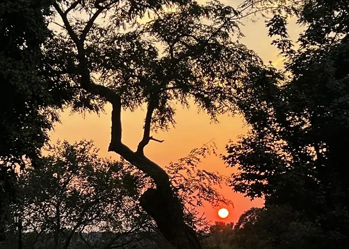 酒店 Schuetzenhaus 3*